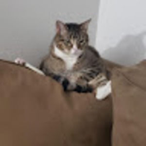 Meet your Posher, Pablo